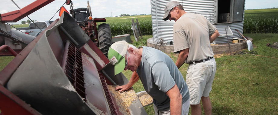 美国最新消息,盘中美元消息,ice美元指数价格走势图,美元指数今日重大消息,美元欧元日元英镑加元最新资讯