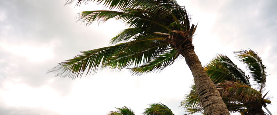 美国国家飓风中心周六表示,预计热带风暴Cristobal风眼将于当地时间周日晚间至周一早间经过路易斯安那州