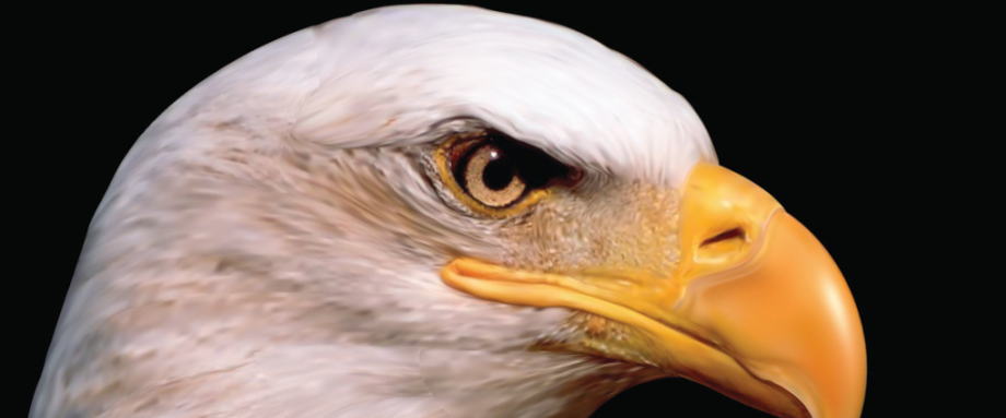 美国芝加哥联储主席埃文斯周二表示,美联储的新利率指引并不排除在通胀一定时期内平均达到2%之前收紧货币政策