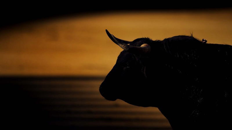 美国股市最新消息,盘中美股突发重大资讯,道指期货,纳斯达克指数,标准普尔指数,怎么开户,最新消息,牛市行情能否延续,再通胀交易