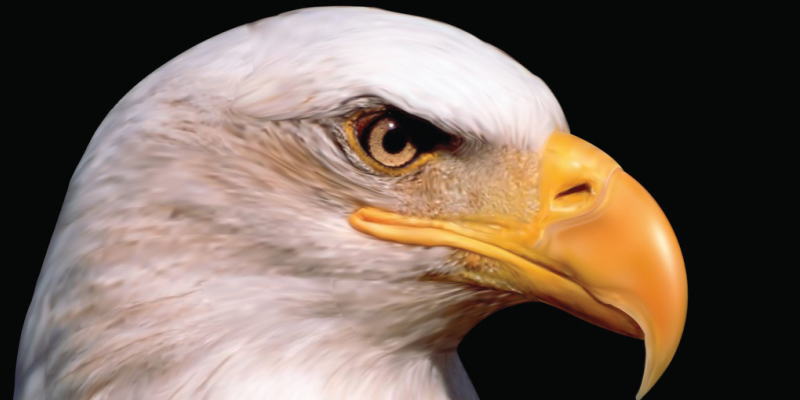 美国最新消息，盘中美元消息，ice美元指数价格走势图，美元指数今日重大消息，美元欧元日元英镑加元最新资讯