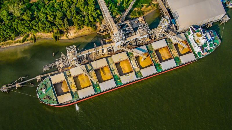 17日，沥青期货主力1906合约小幅高开后，受空头减仓影响，期价振荡反弹。此时，部分多头借机获利离场，期价略有回落。之后，多空陷入胶着，期价呈小区间波动，日内...