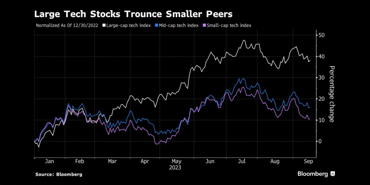 大型科技股击败小型股 - 行情走势分析 - 股指、黄金、外汇、原油 - 财经图表/统计图表/分析图表/经济指标【GDP-CPI-PMI-非农】 - 彭博社 - Bloomberg - 市场矩阵