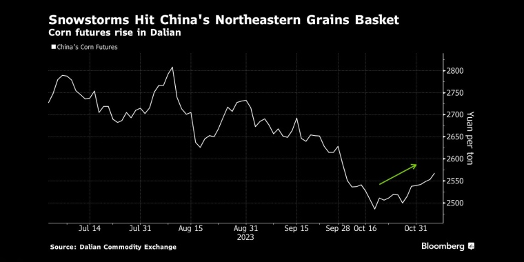暴风雪袭击中国东北粮食产区大连玉米期货价格上涨 - 行情走势分析 - 股指、黄金、外汇、原油 - 财经图表/统计图表/分析图表/经济指标【GDP-CPI-PMI-非农】 - 彭博社 - Bloomberg - 市场矩阵