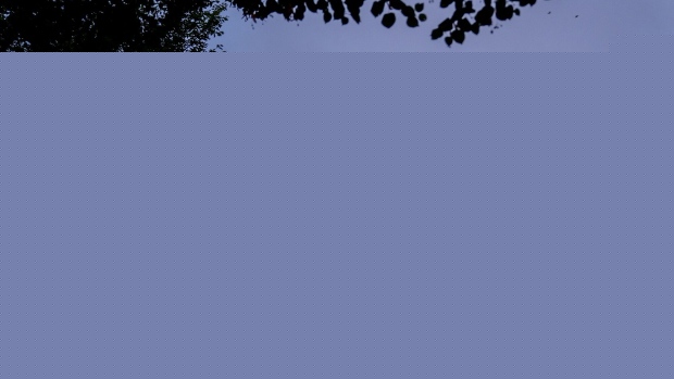 美国最新消息，盘中美元消息，ice美元指数价格走势图，美元指数今日重大消息，美元欧元日元英镑加元最新资讯